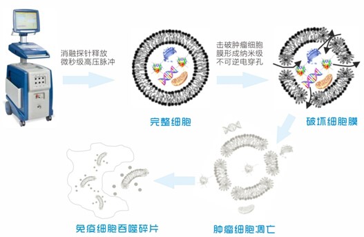 fuda04_128483.jpg 2nano.jpg