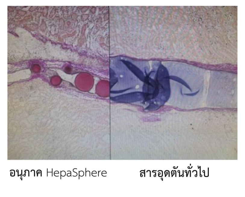 fuda22_325226.png fuda22_325226.png