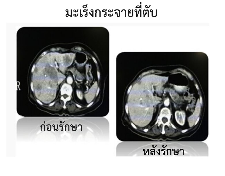 fuda22_549952.jpg fuda22_549952.jpg