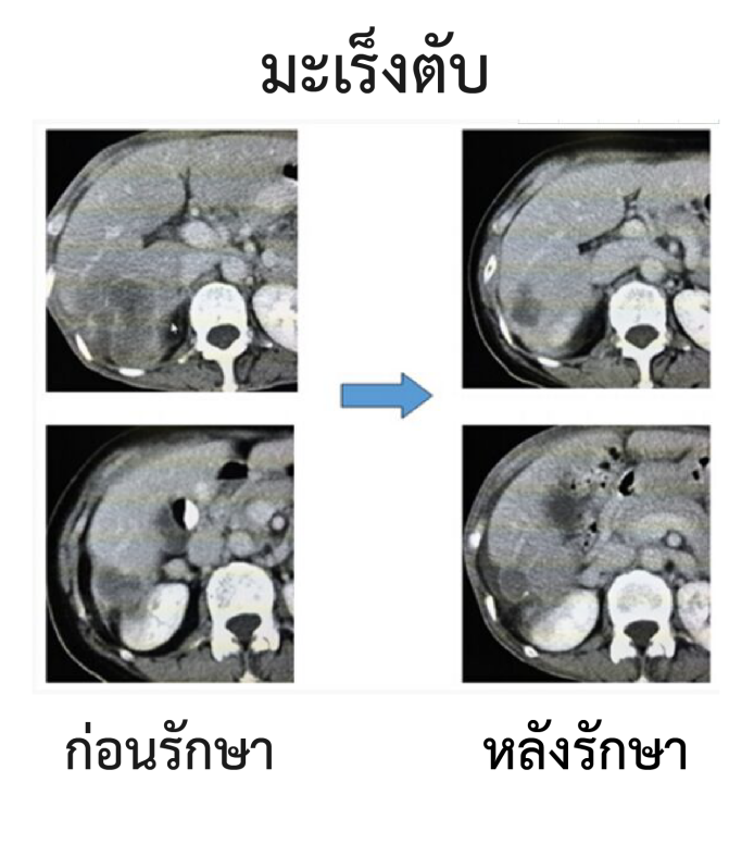 fuda22_757393.png fuda22_757393.png