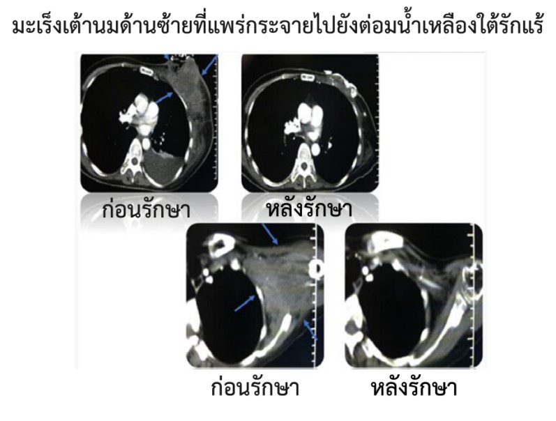 fuda22_992885.jpg fuda22_992885.jpg