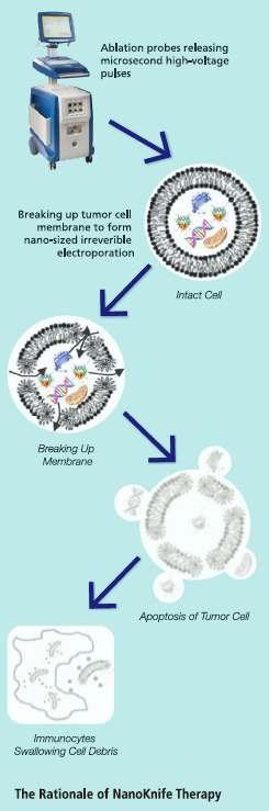 fuda30_920211.png image001(3).png