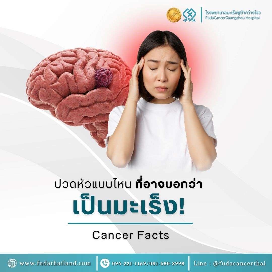 ny26_250212.jpg ny26_250212.jpg