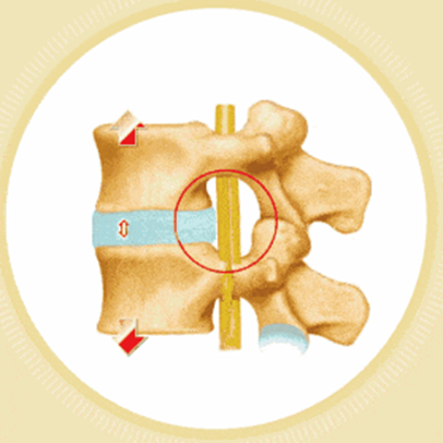 ny08_444576.png image.png