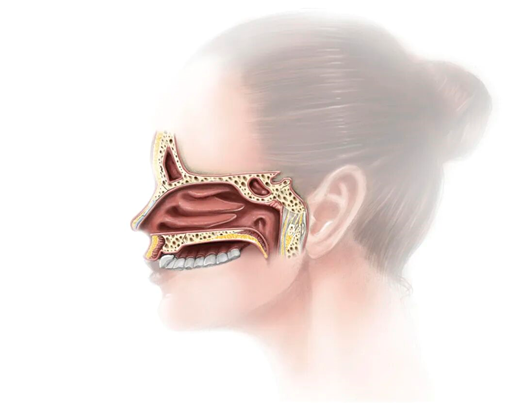 ny28_491498.png image.png